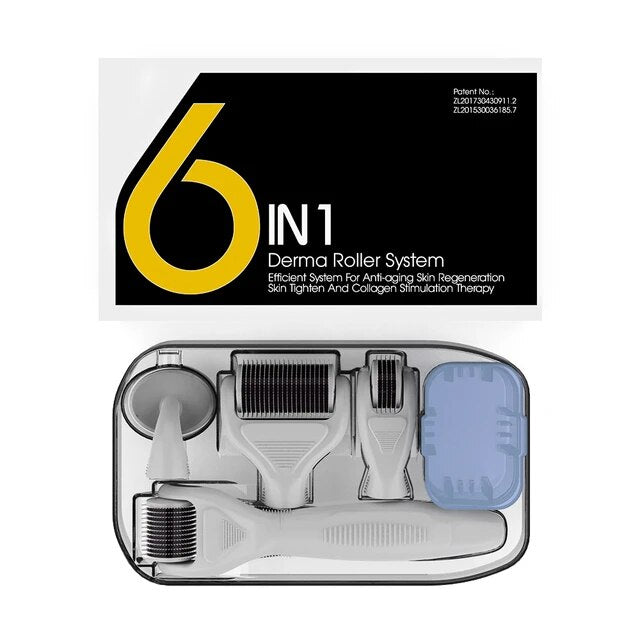 dermaroller set 6 in 1